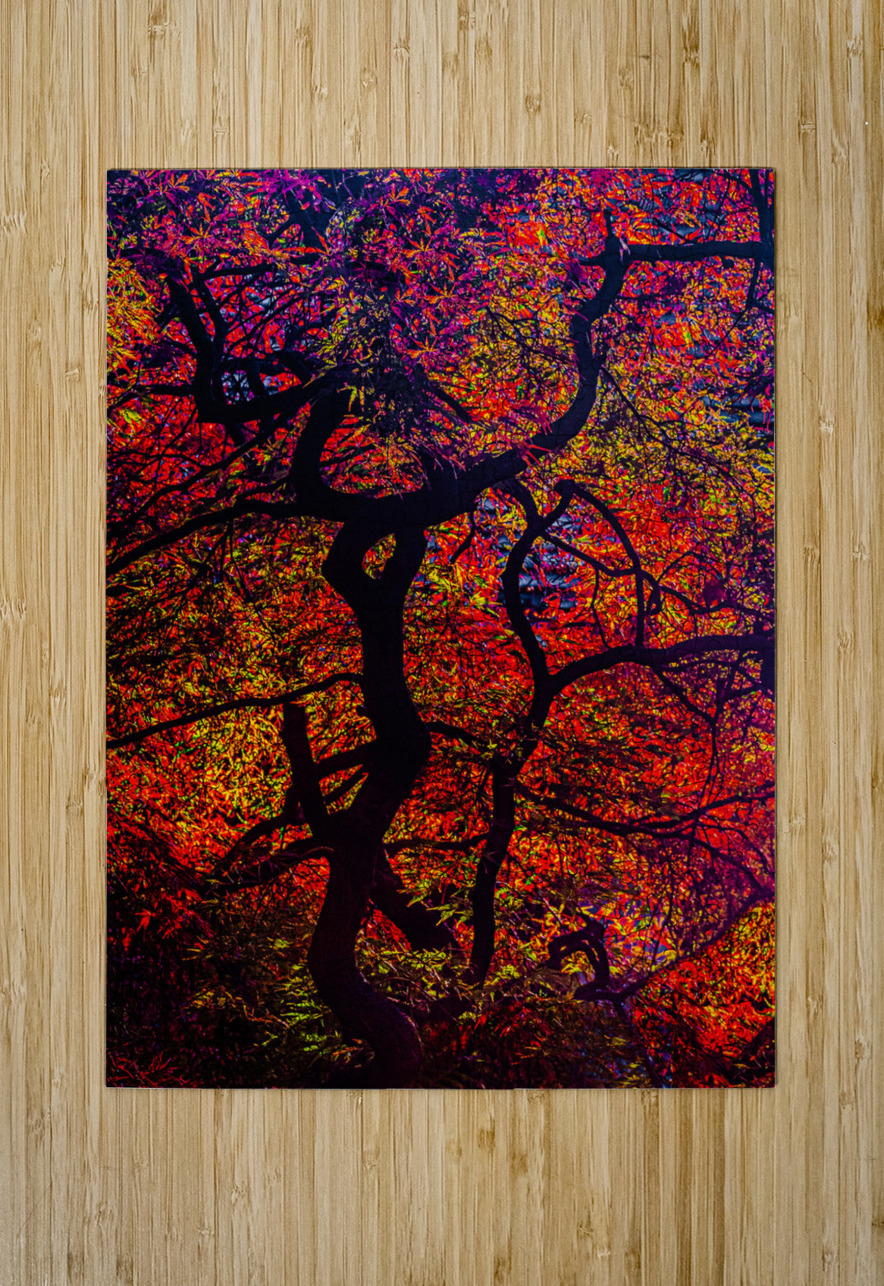 ABS 02014 John Walborn Promenade Photos Puzzle printing