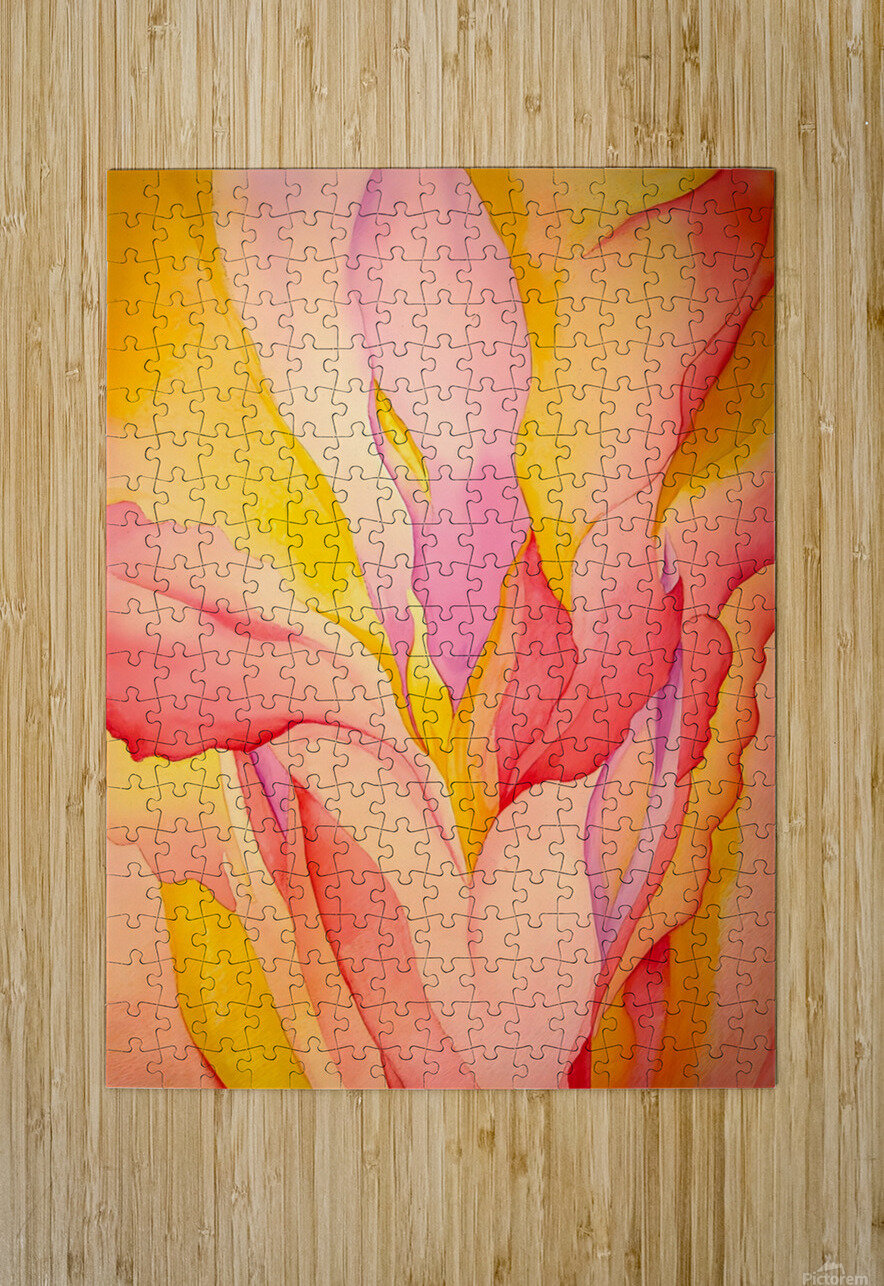 Georgia OKeeffe - Red Canna 1924 William Store Puzzle printing