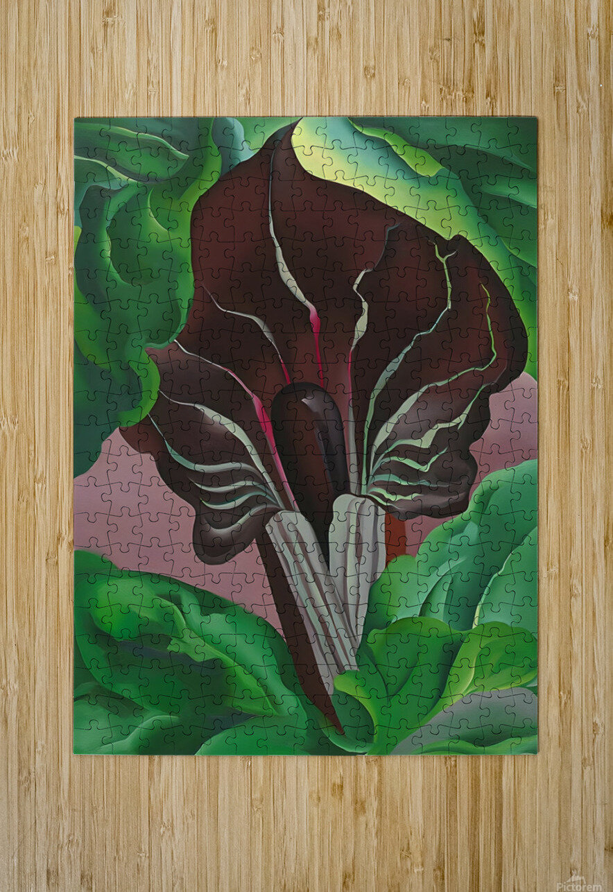 Georgia OKeeffe - Jack-in-Pulpit - No. 2 William Store Puzzle printing