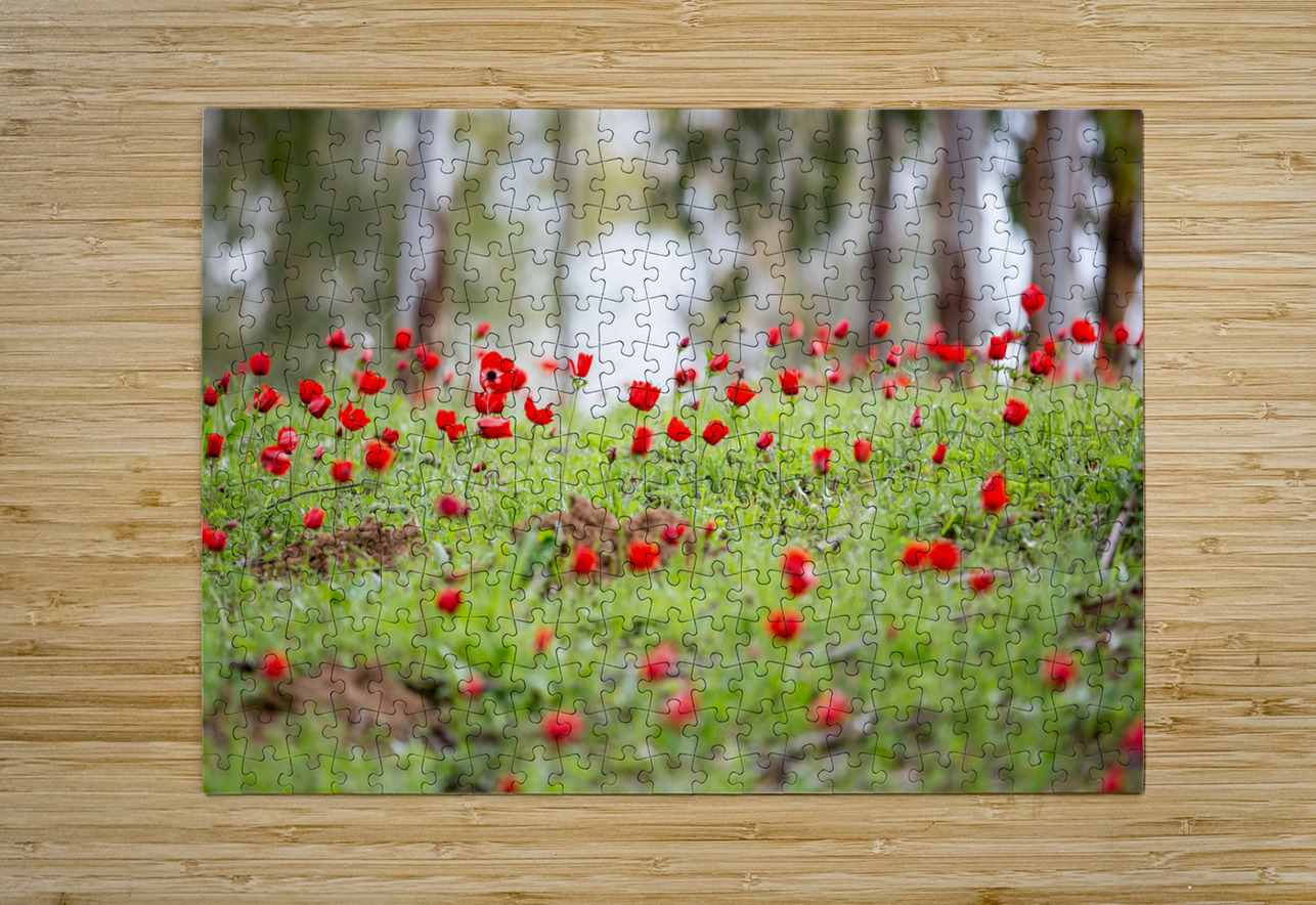 PIC12807 YoelKoskasFineArt Puzzle printing