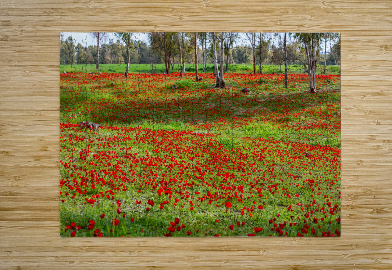 PIC12981 YoelKoskasFineArt Puzzle printing