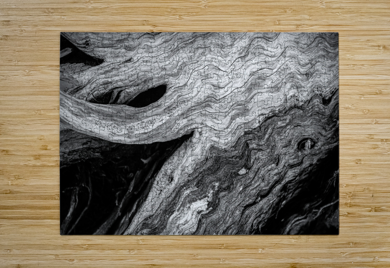 Abstract  Bald Cypress Tree Root Patterns in Black and White Norma Brandsberg Photography Puzzle printing