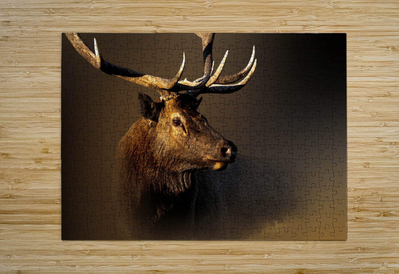 My Eyes Are Down Here B Zolle Puzzle printing