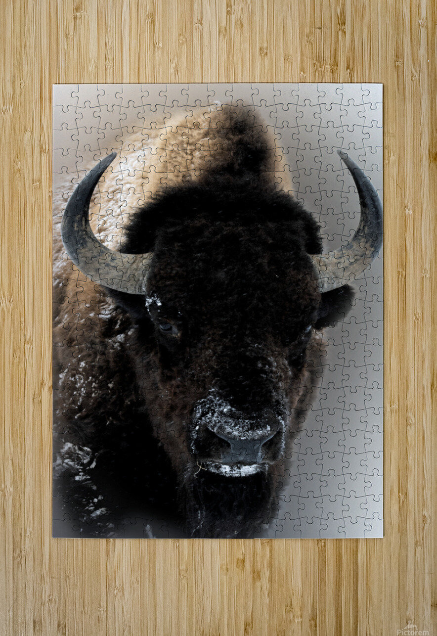 Warm Winter Coat  B Zolle Puzzle printing