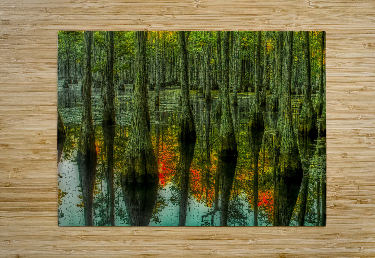 LAN 02090 John Walborn Promenade Photos Puzzle printing