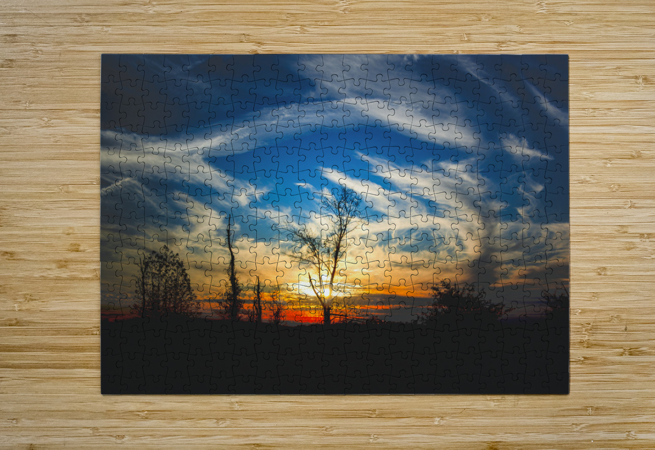 Road Trip to Charleston Sunset Norma Brandsberg Photography Puzzle printing