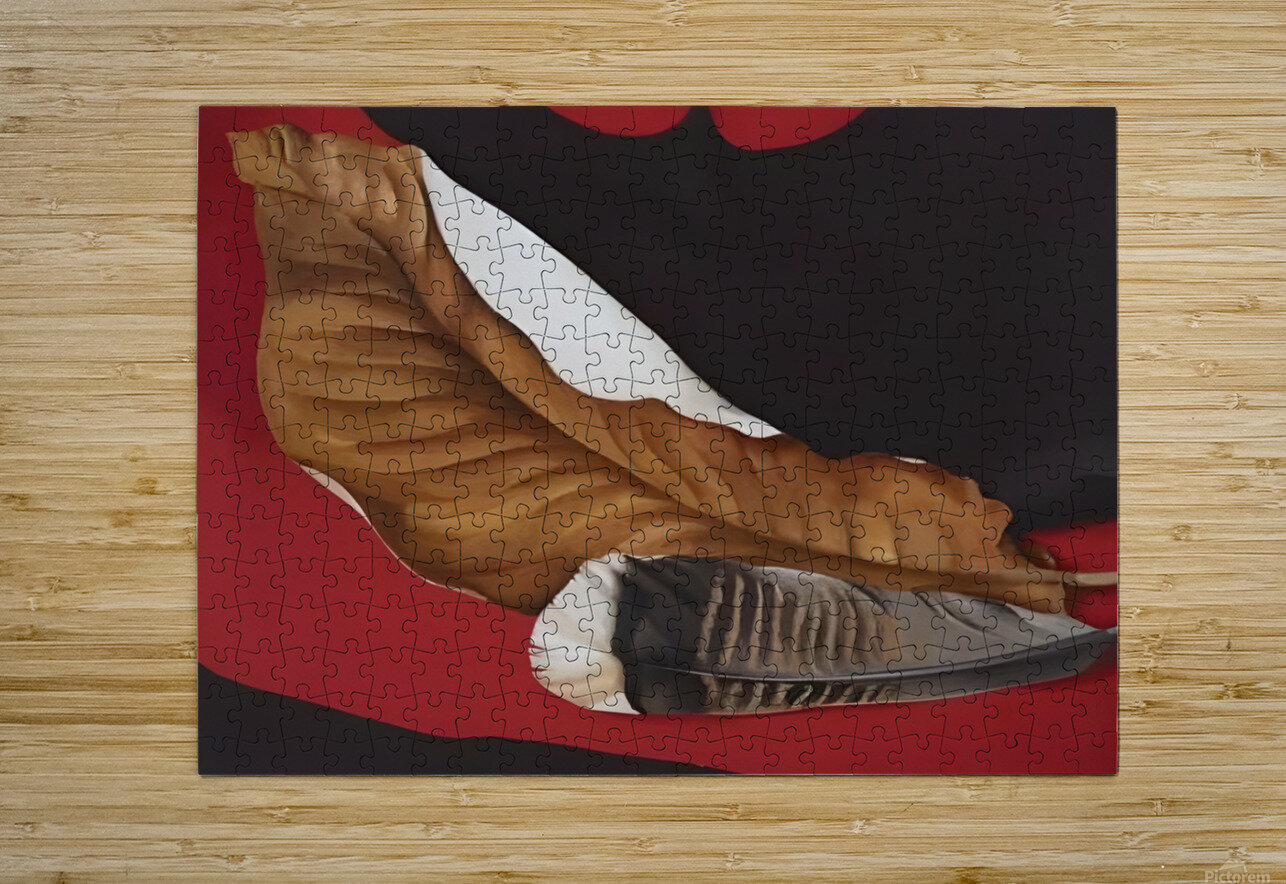 Georgia Okeeffe - Feather And Brown Leaf . A William Store Puzzle printing