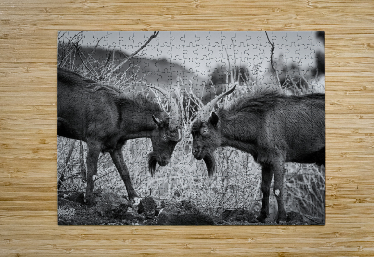 There Can Be Only One Nate Solo Puzzle printing