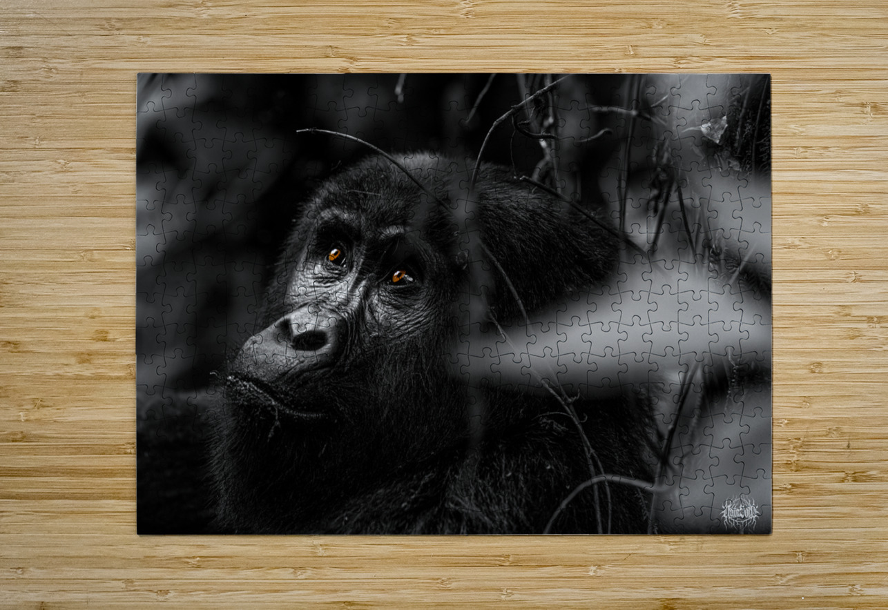 Do You Remember When Nate Solo Puzzle printing