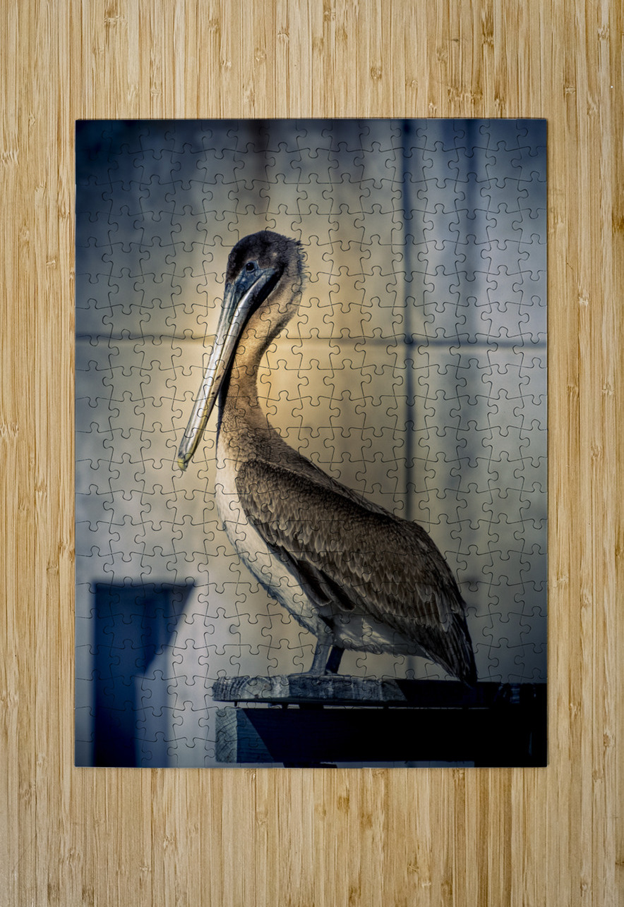 Big Beautiful Strutting Bird Norma Brandsberg Photography Puzzle printing