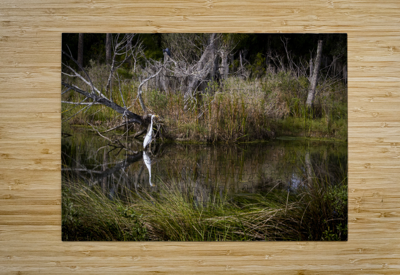 Florida Marsh Winter White Egret  Norma Brandsberg Photography Puzzle printing