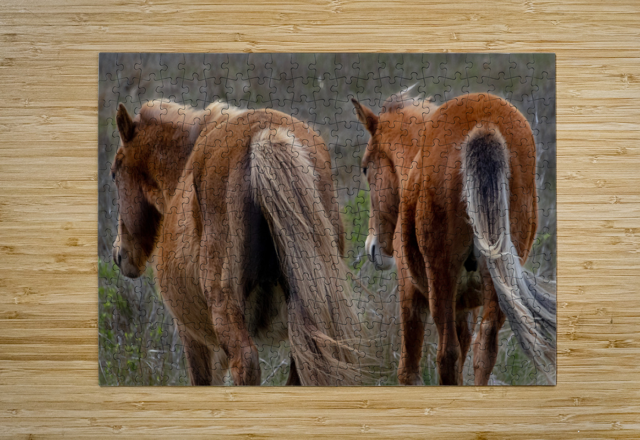 Paired Together Norma Brandsberg Photography Puzzle printing