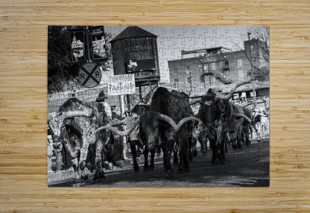stockyard cattle drive  horizontal 803 Drive 13k. Black And White Puzzle printing