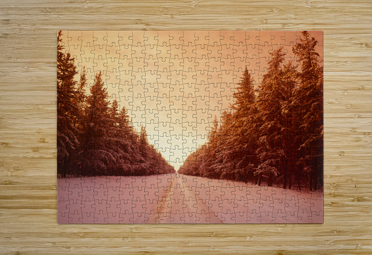 Winter Road Through Pine Forest Dave Reede Photohgraphy Puzzle printing