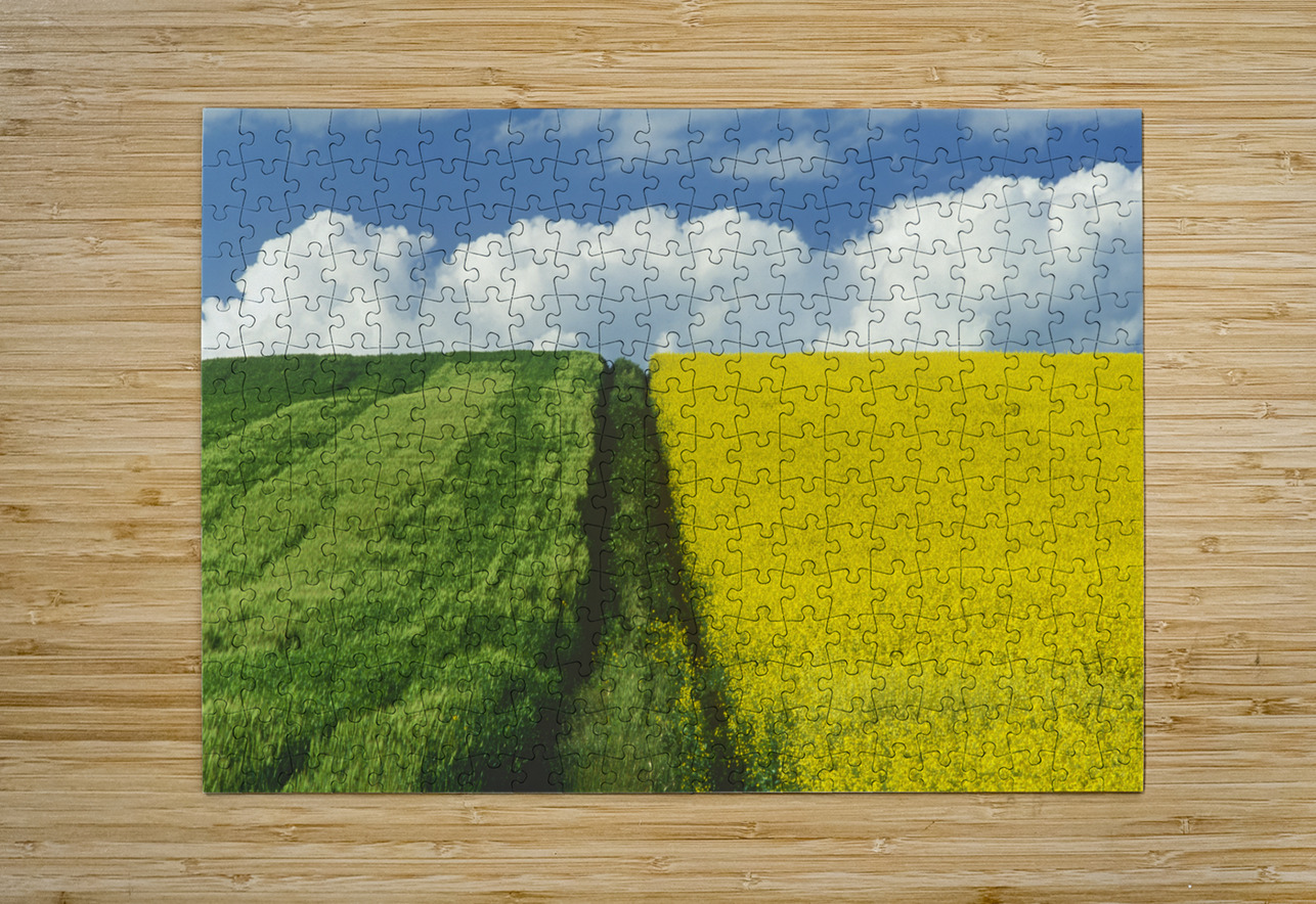 Path Through Barley and Canola Dave Reede Photohgraphy Puzzle printing