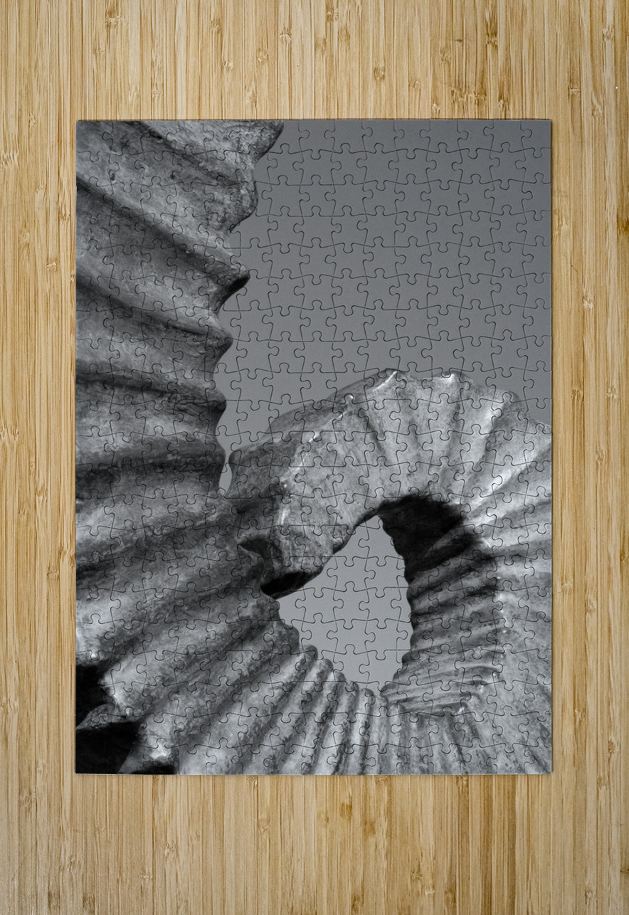 Curl DeepEarth Photography Puzzle printing