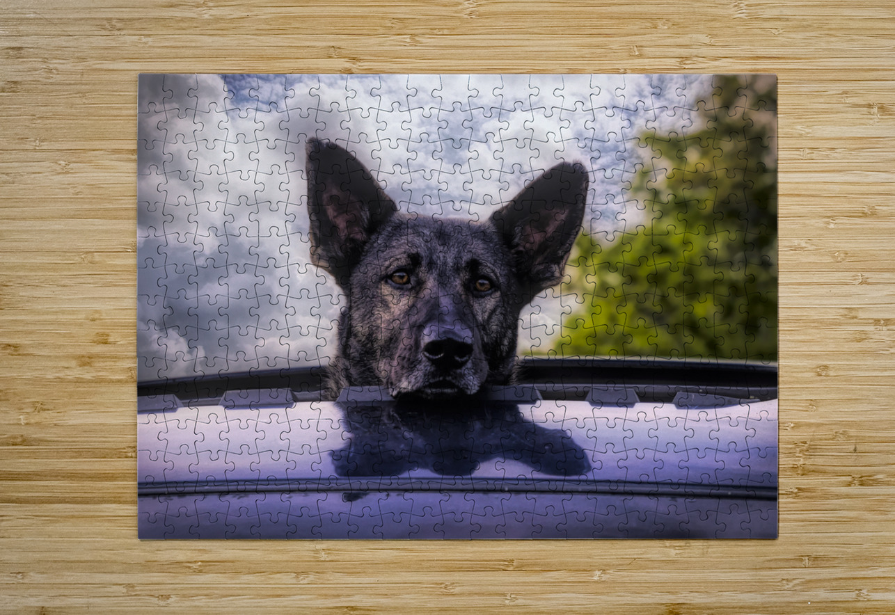 Along for the Ride Norma Brandsberg Photography Puzzle printing