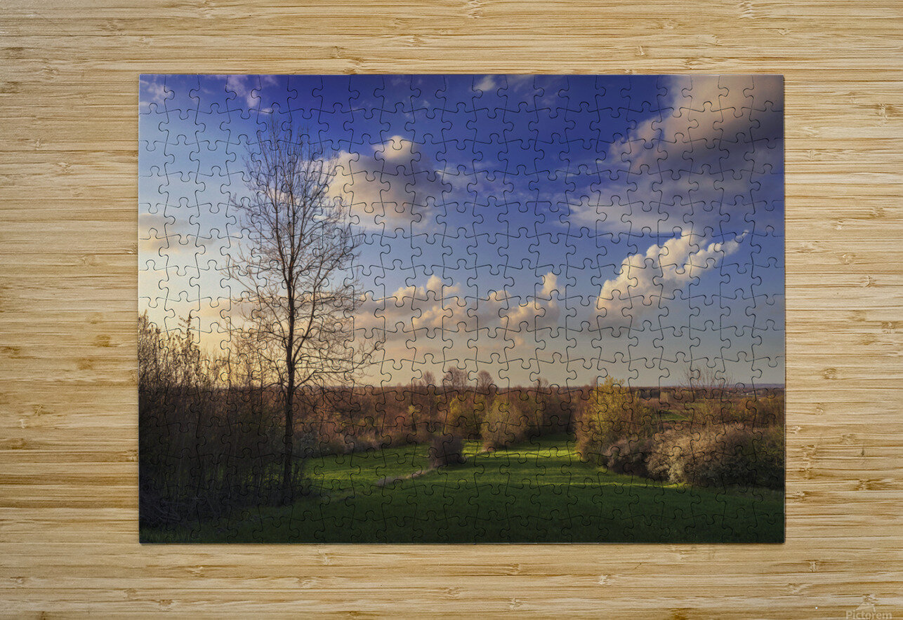 The first signs of spring in the field Dejan Travica Puzzle printing