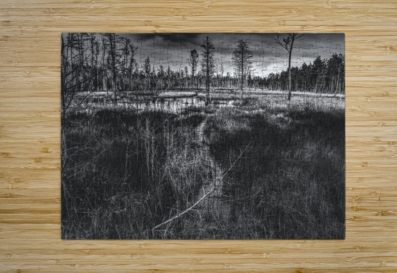 Pathway Through the Marsh Norma Brandsberg Photography Puzzle printing