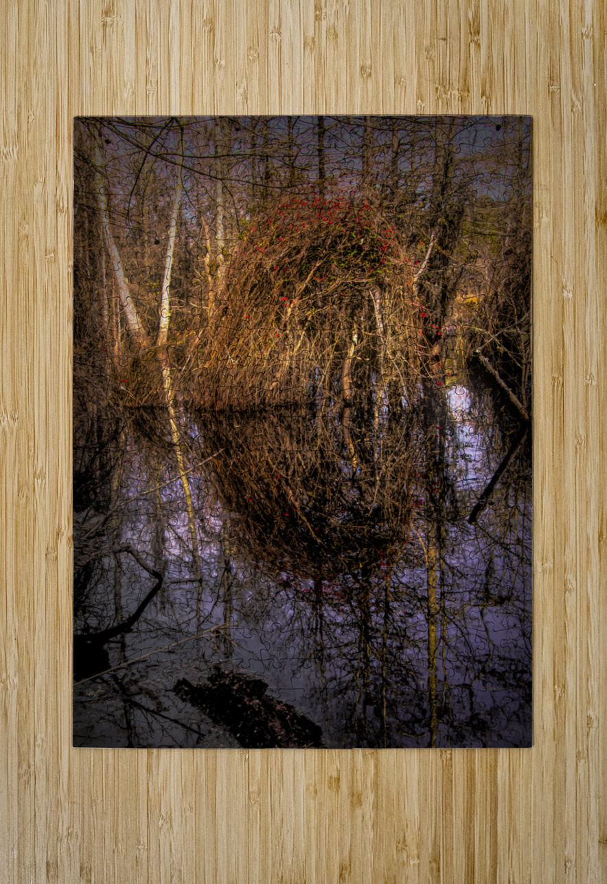 Marsh Colors of Winter Norma Brandsberg Photography Puzzle printing