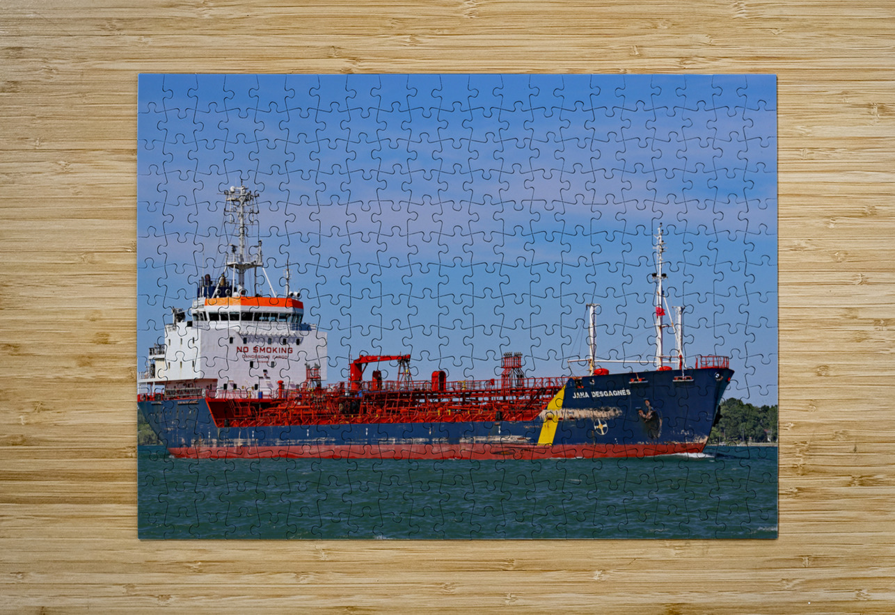 Jana Desgagnes 061320 Mary Bedy Puzzle printing