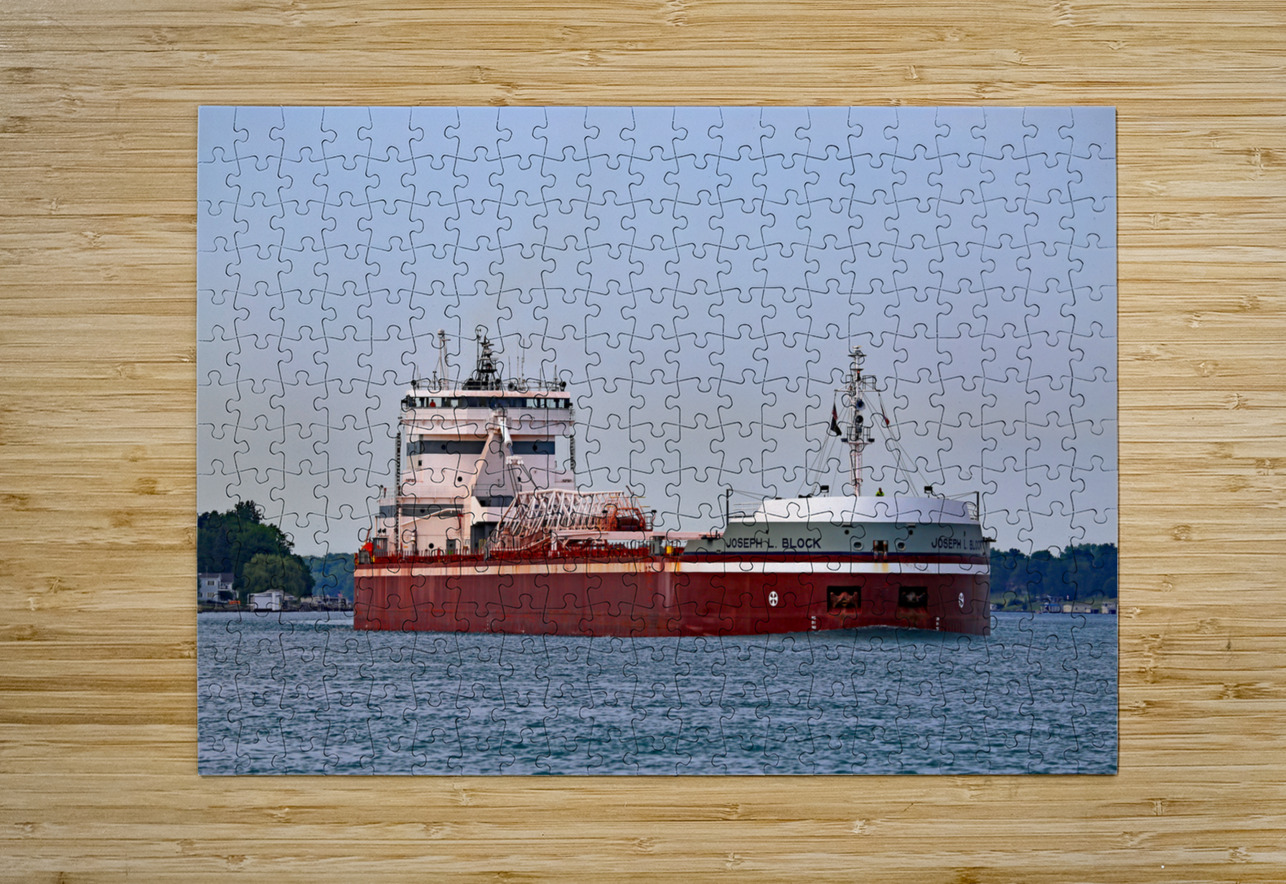 Joseph L. Block 3 062922 Mary Bedy Puzzle printing