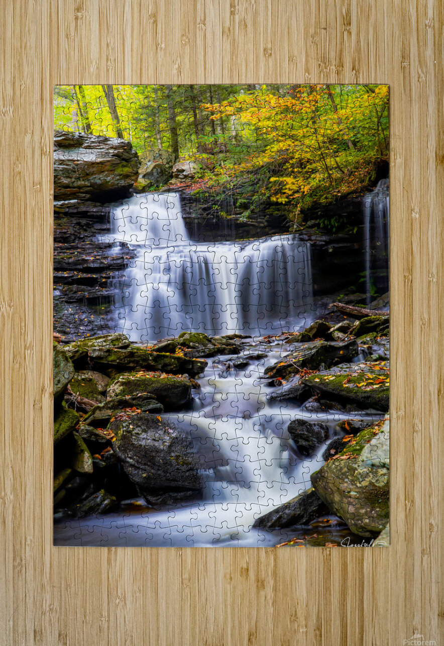 Ricketts Glen 6 Joyful Photography Puzzle printing
