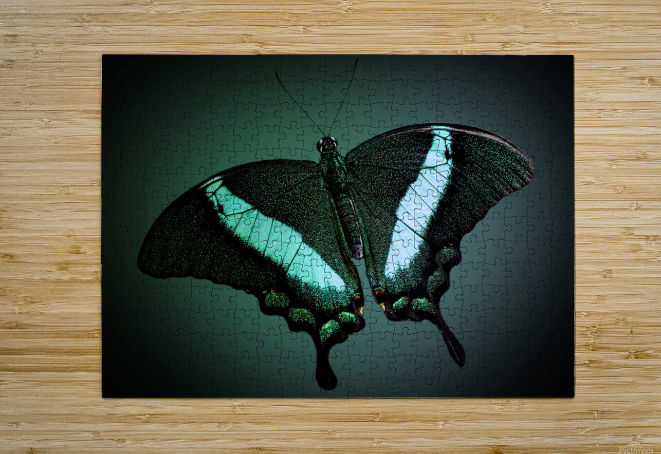 Emerald Beauty B Zolle Puzzle printing