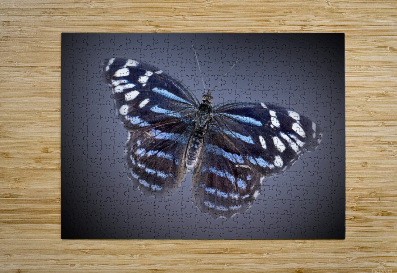 And Im Feeling Blue B Zolle Puzzle printing