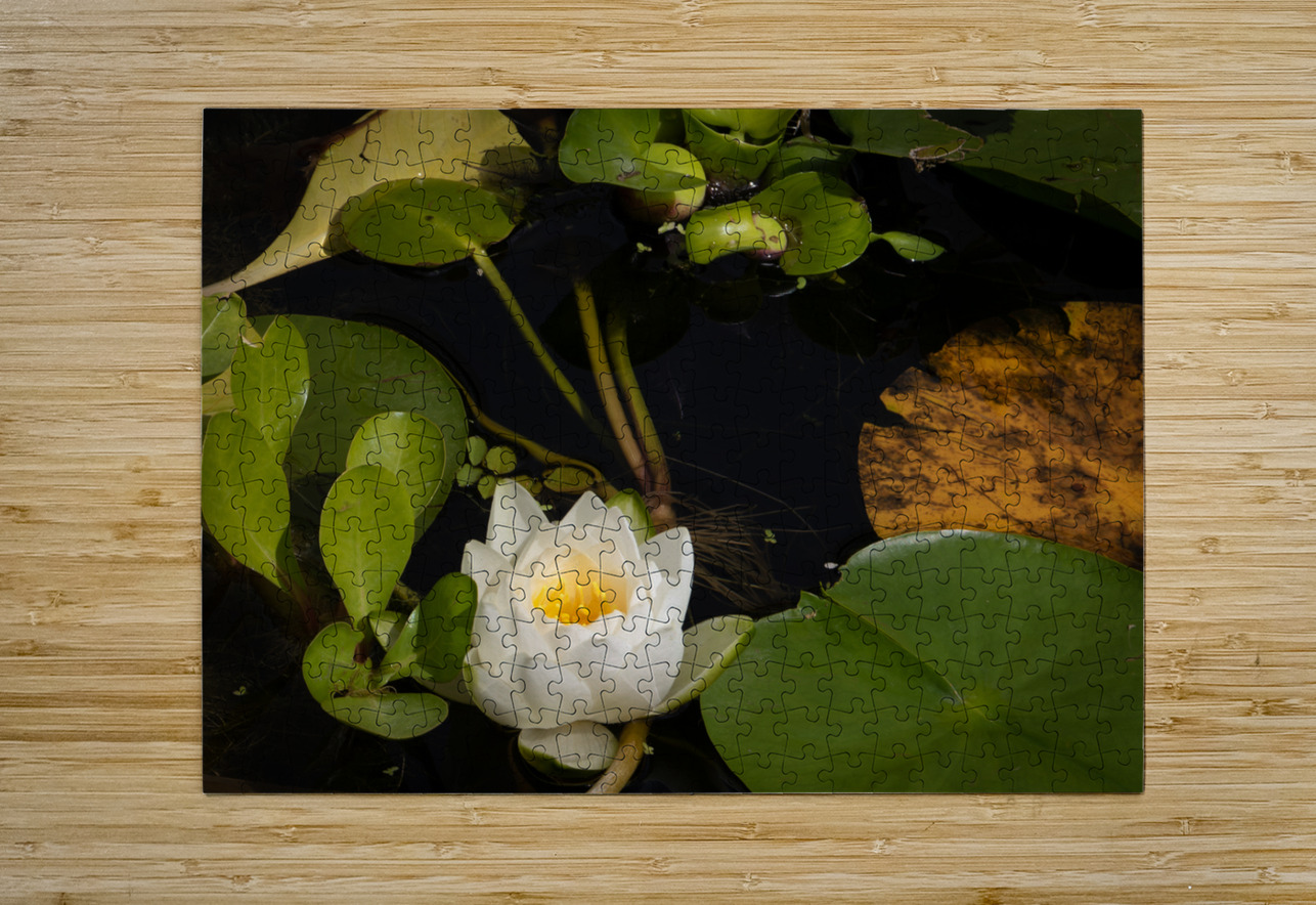 In Remembrance of Summer Norma Brandsberg Photography Puzzle printing