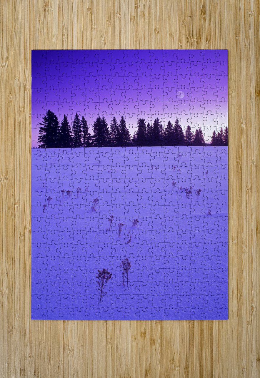 Winter Morning Dave Reede Photohgraphy Puzzle printing