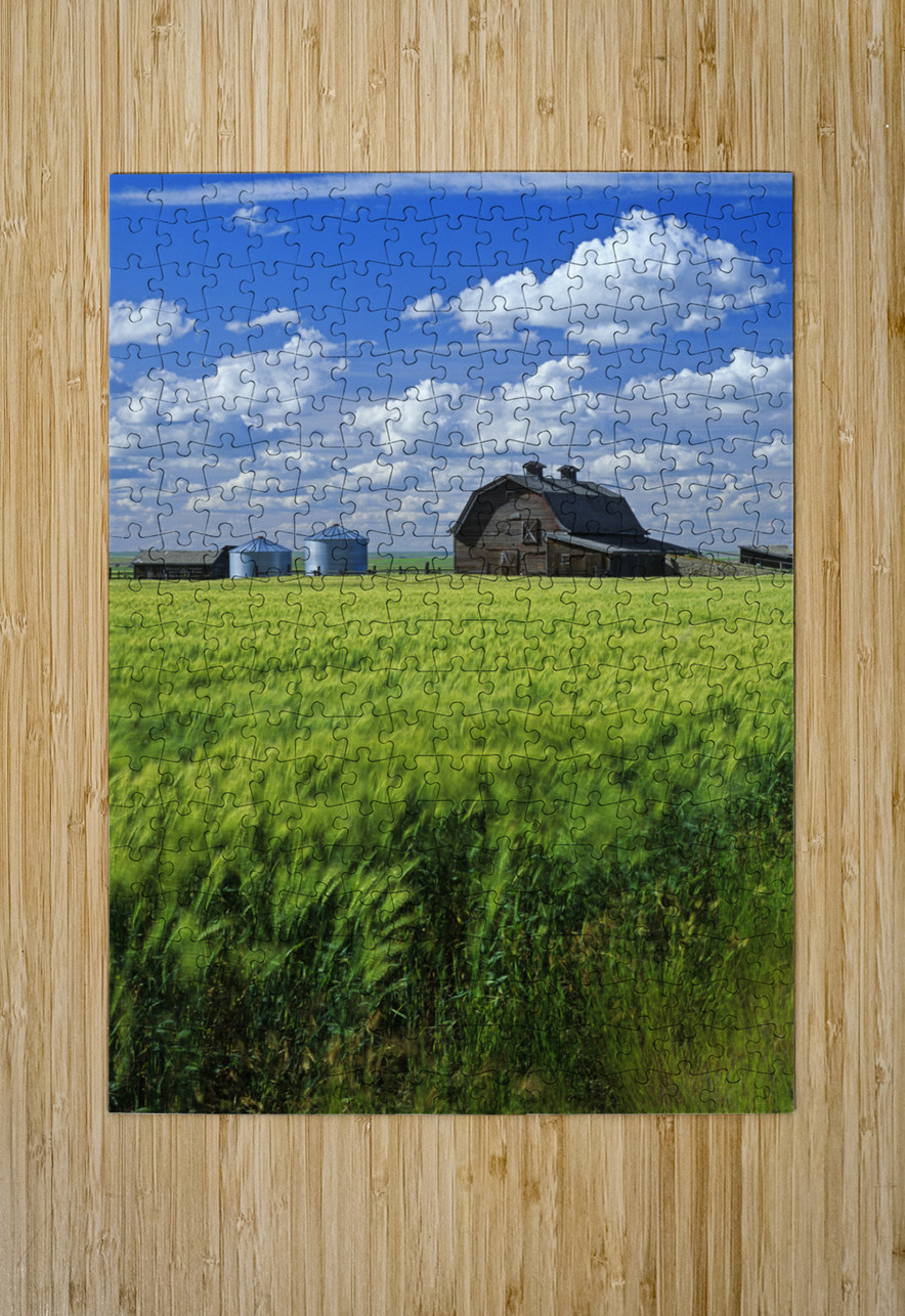 Abandoned Farm Dave Reede Photohgraphy Puzzle printing