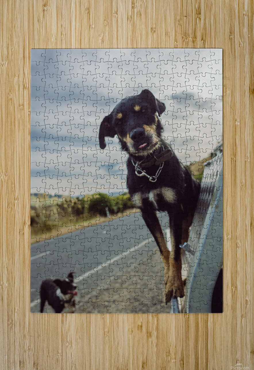 Chief Lauren Maria Photo   Films Puzzle printing