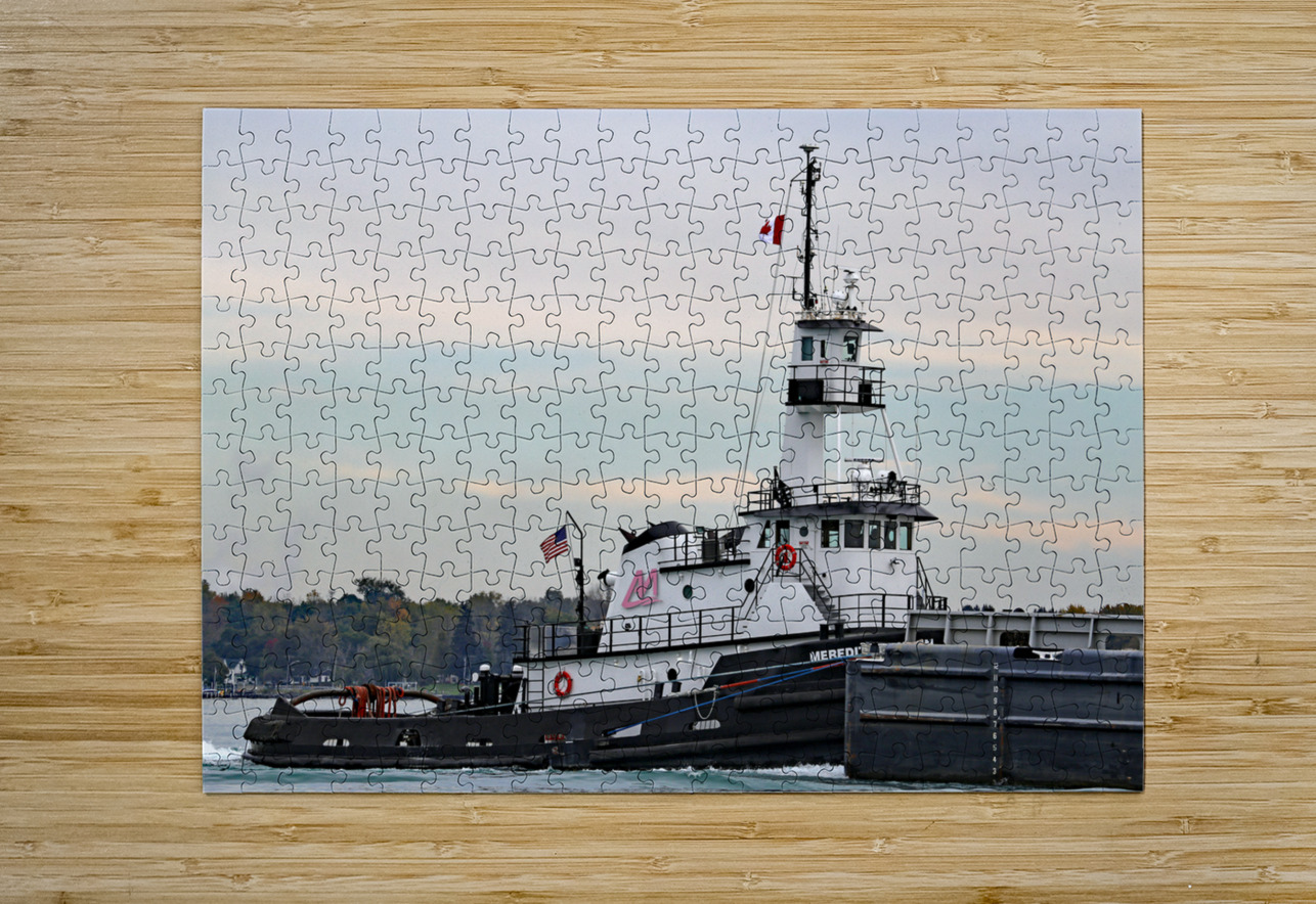 Meredith Ashton 102421 Mary Bedy Puzzle printing