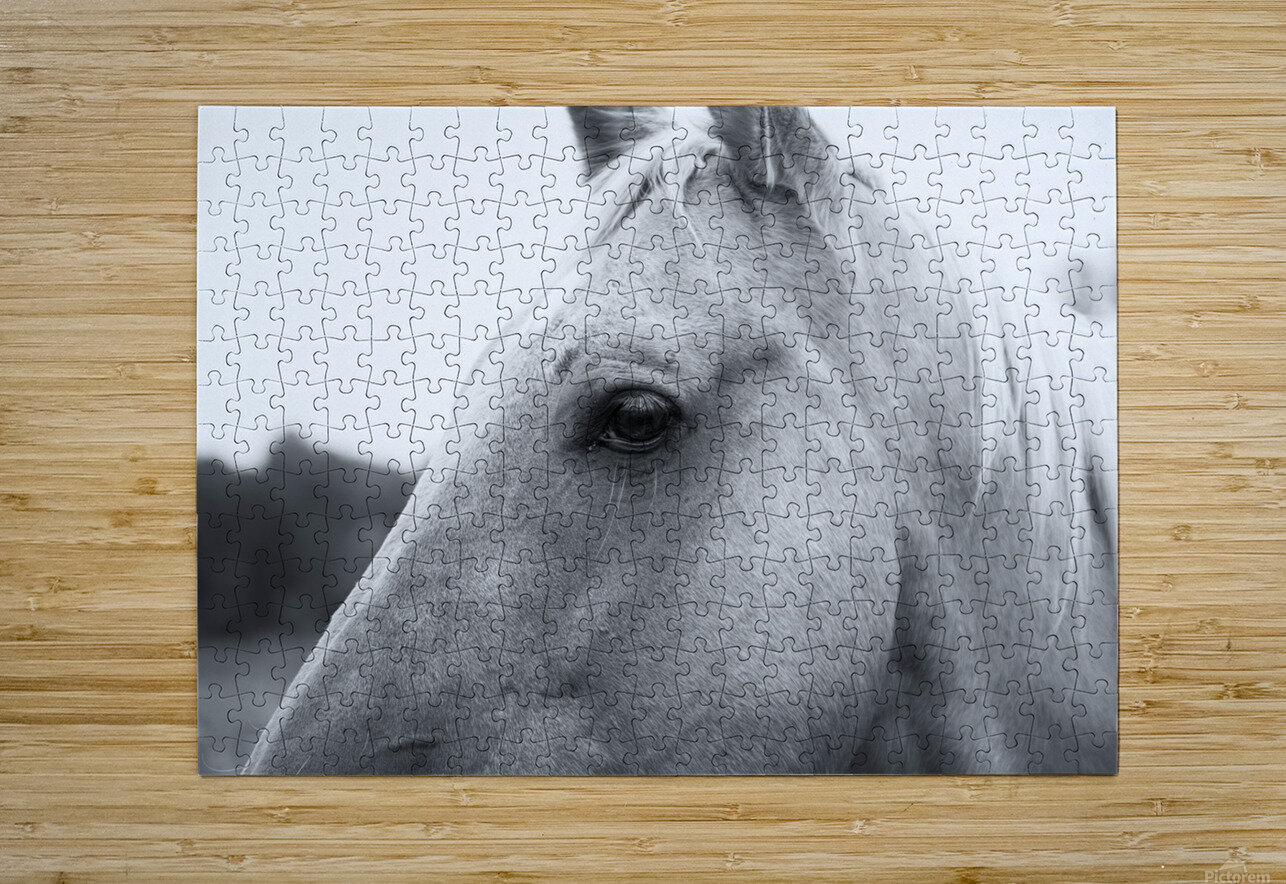 Waiting for Treats R Natale Photography Puzzle printing