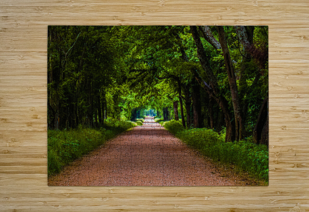 Alabama Backroad Pope McElvy Puzzle printing