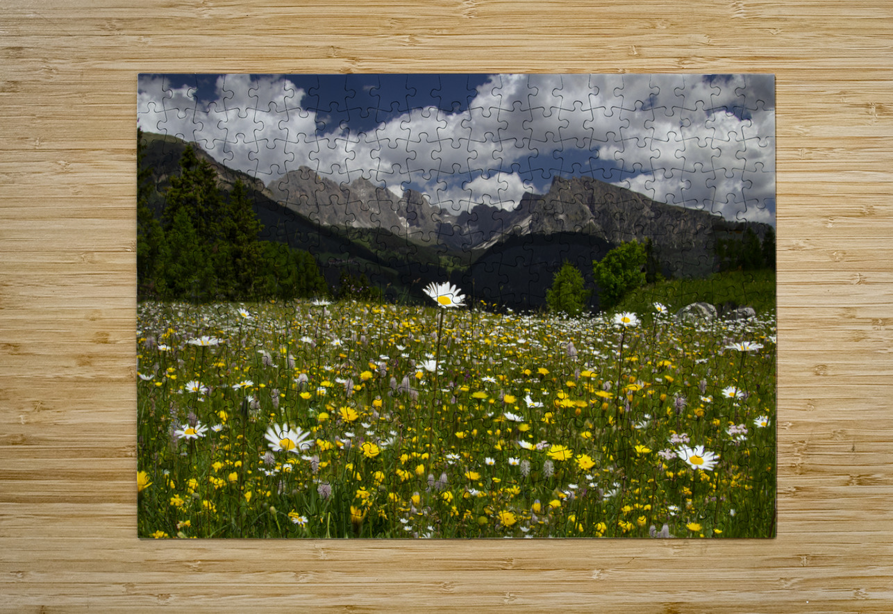 Dolomite Wild Flower Heaven Norma Brandsberg Photography Puzzle printing