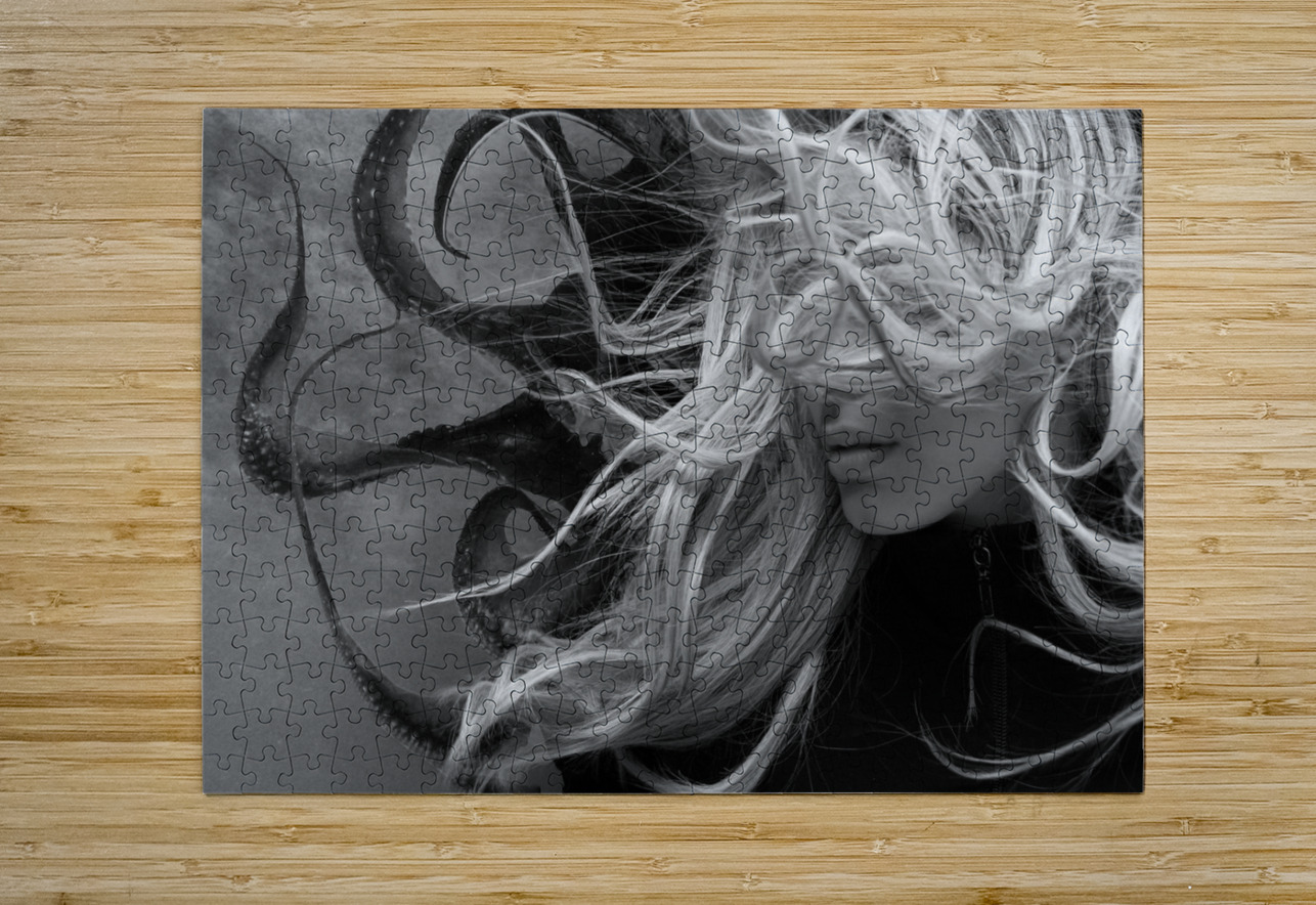 QGF 002 – Octopus Leg and Goldie Locks Masterwork Reimagined Puzzle printing