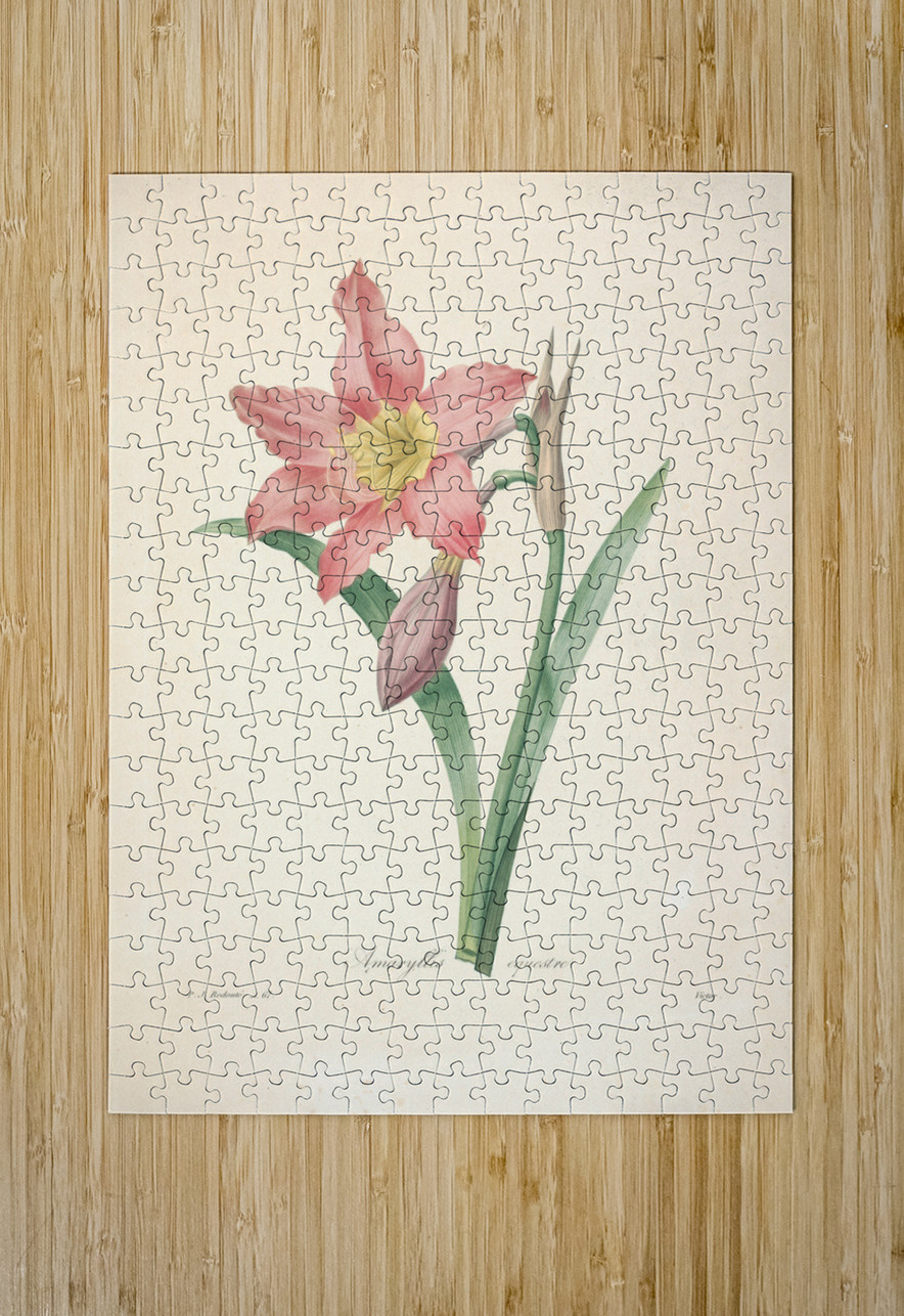 QVT 1088 – Vintage Floral Illustration French.j Masterwork Reimagined Puzzle printing