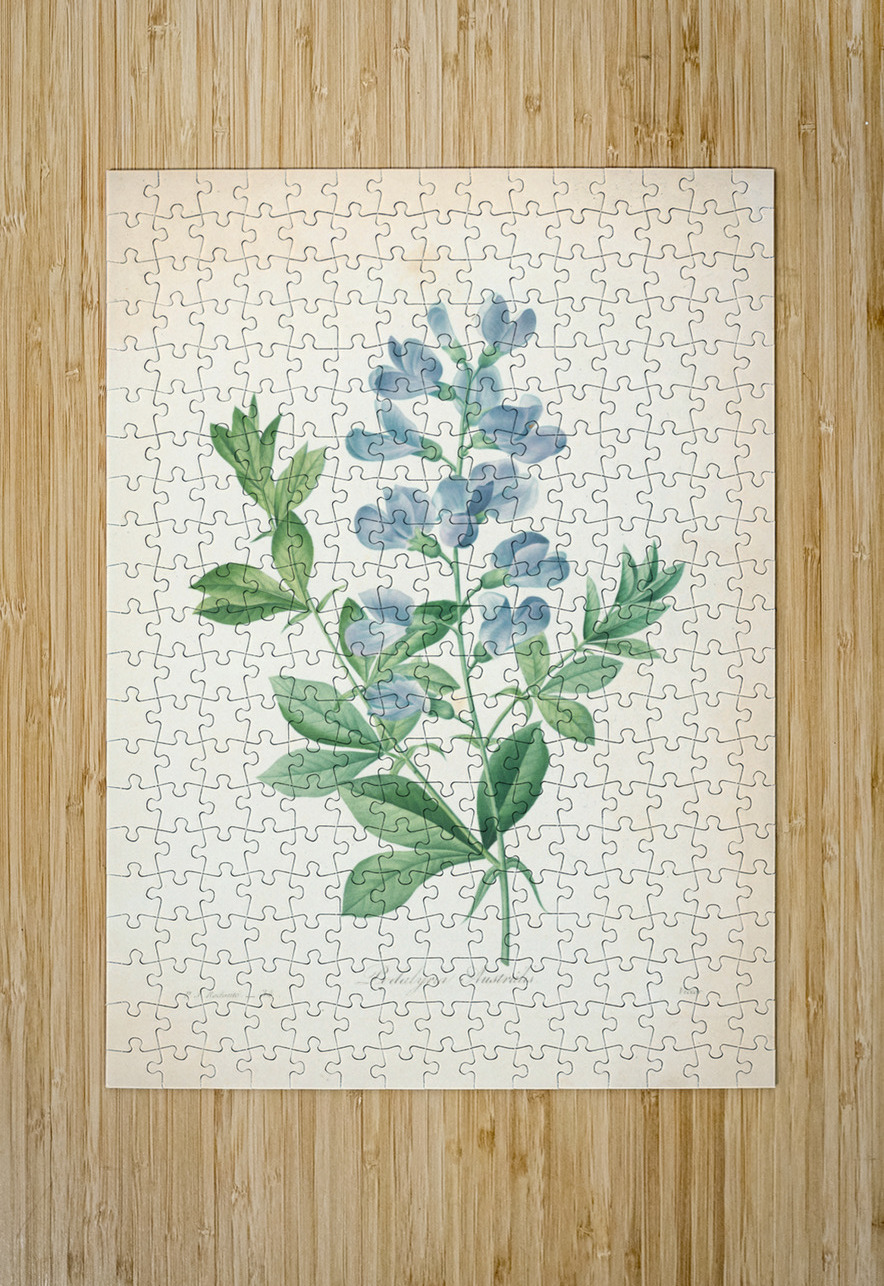 QVT 1085 – Vintage Floral Illustration French.j Masterwork Reimagined Puzzle printing