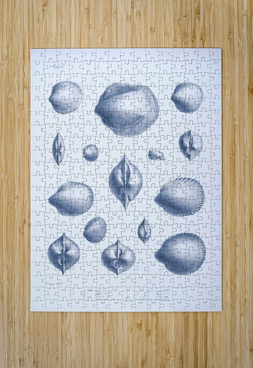 QVT 1035 – Vintage Nautical Sea Creatures and S Masterwork Reimagined Puzzle printing