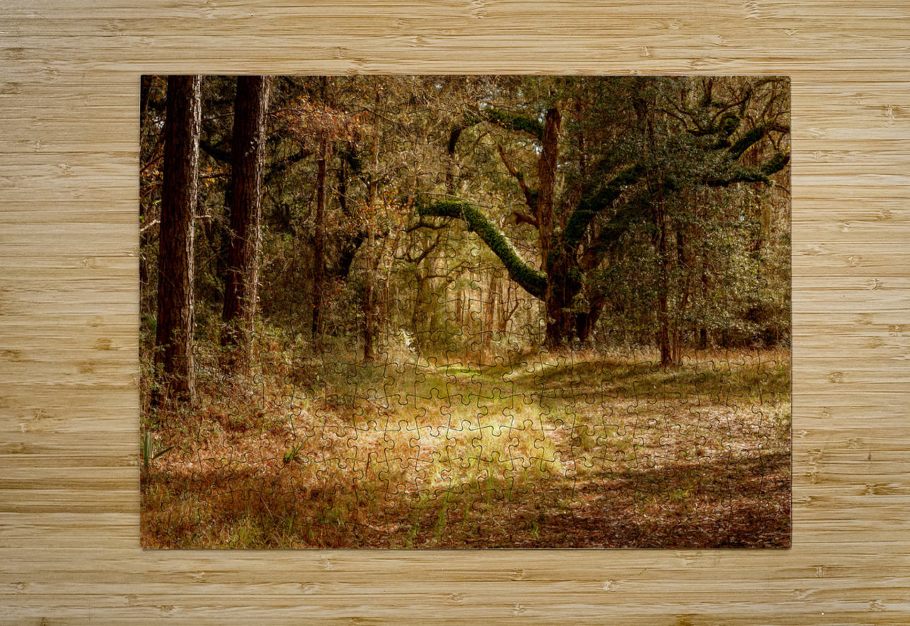 McClellanville Forest Wetlands Trail Norma Brandsberg Photography Puzzle printing
