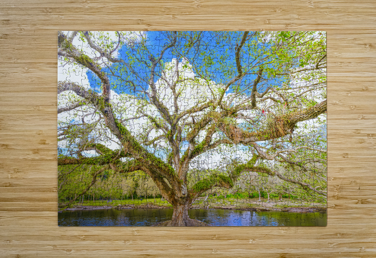 Live Oak Tree Visual Voyages Fine Art Puzzle printing