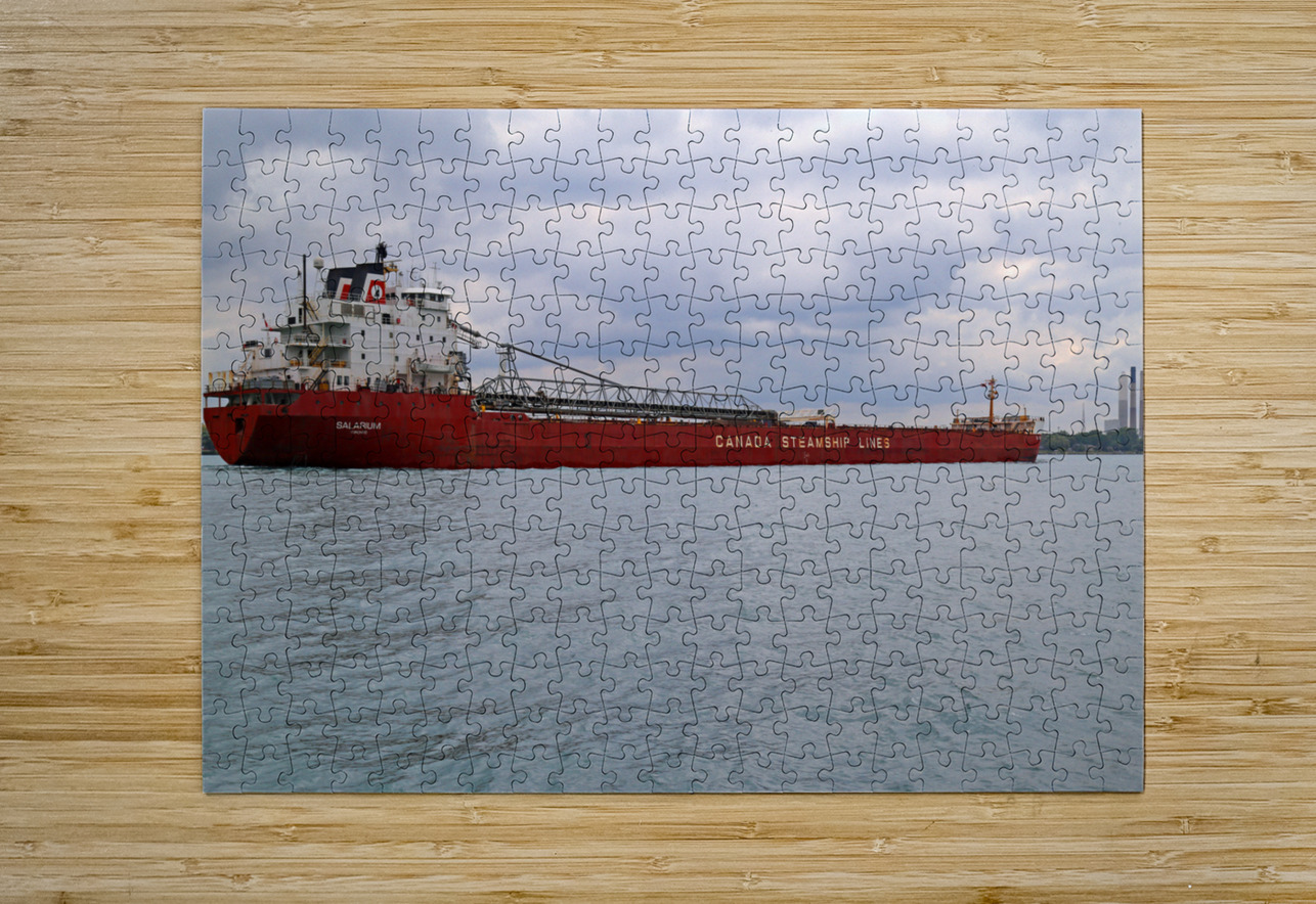 Salarium 1 Mary Bedy Puzzle printing