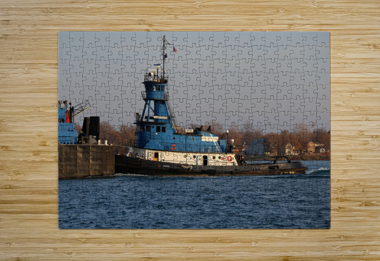 Sarah Andrie Detail 2 Mary Bedy Puzzle printing