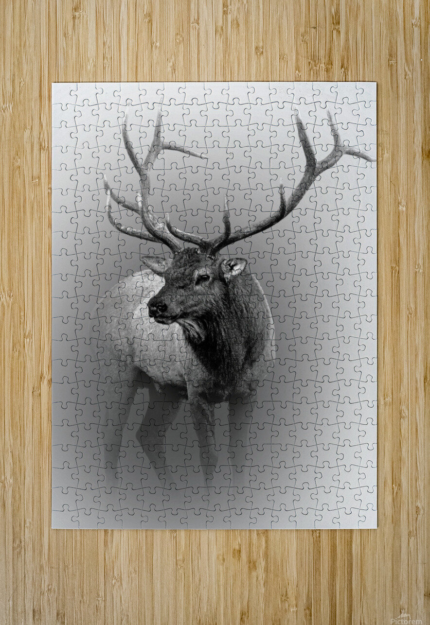 Defend B Zolle Puzzle printing