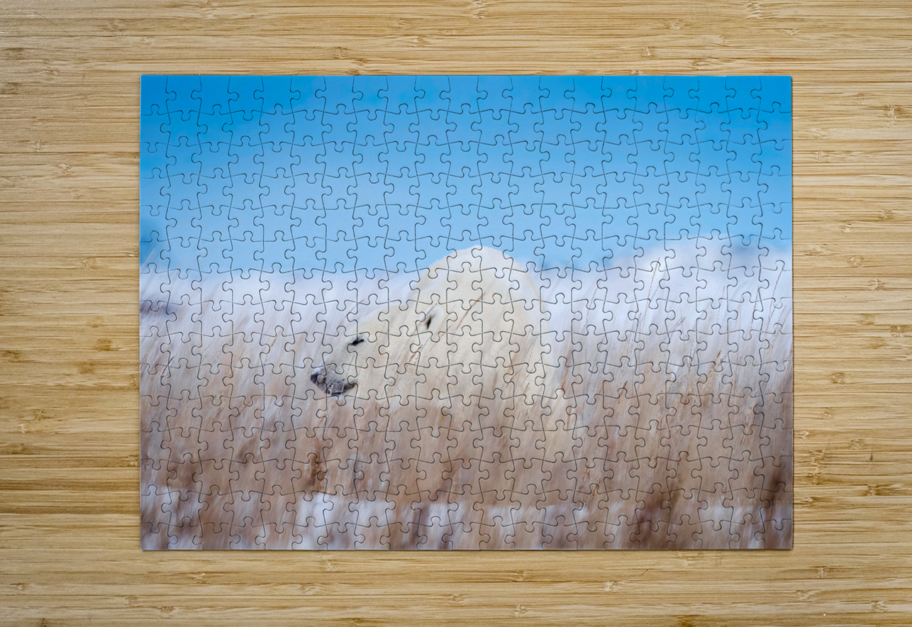 Tundra Breeze Johnny Hayward Puzzle printing