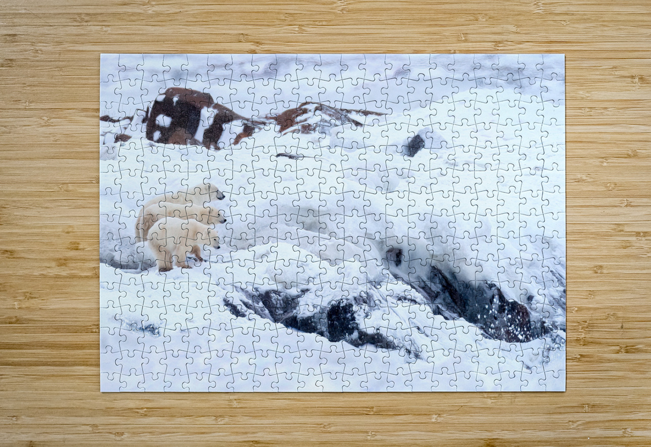 Overwatch Johnny Hayward Puzzle printing