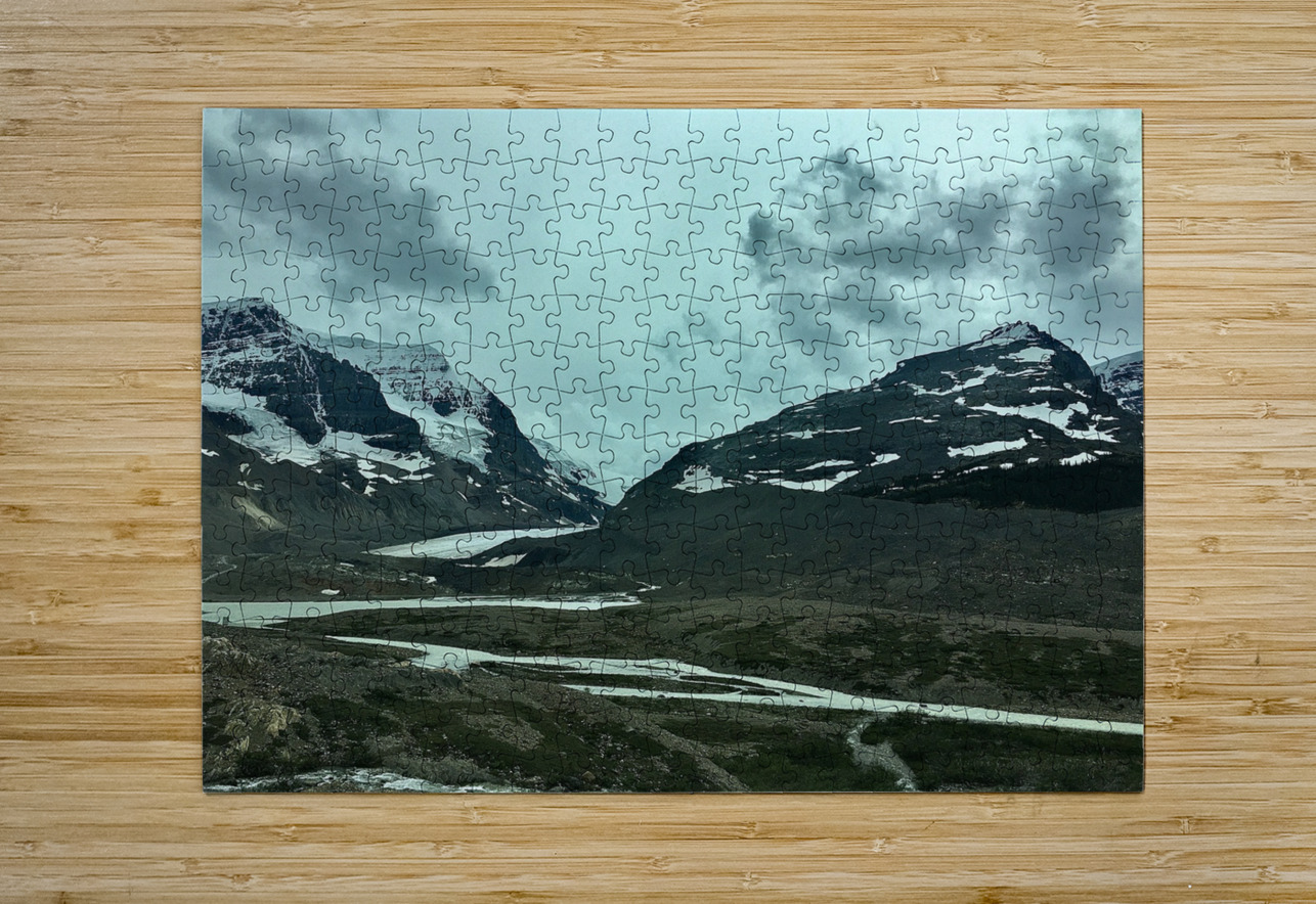 Chilly Blue Raspberry Rose Photos by Pip KImberley Puzzle printing