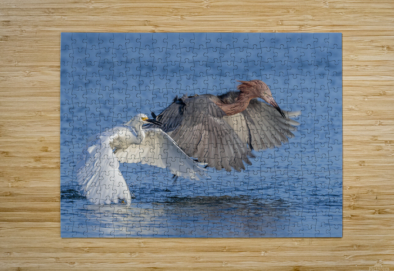 ..Set..Go! RJLaBellaPhotos Puzzle printing